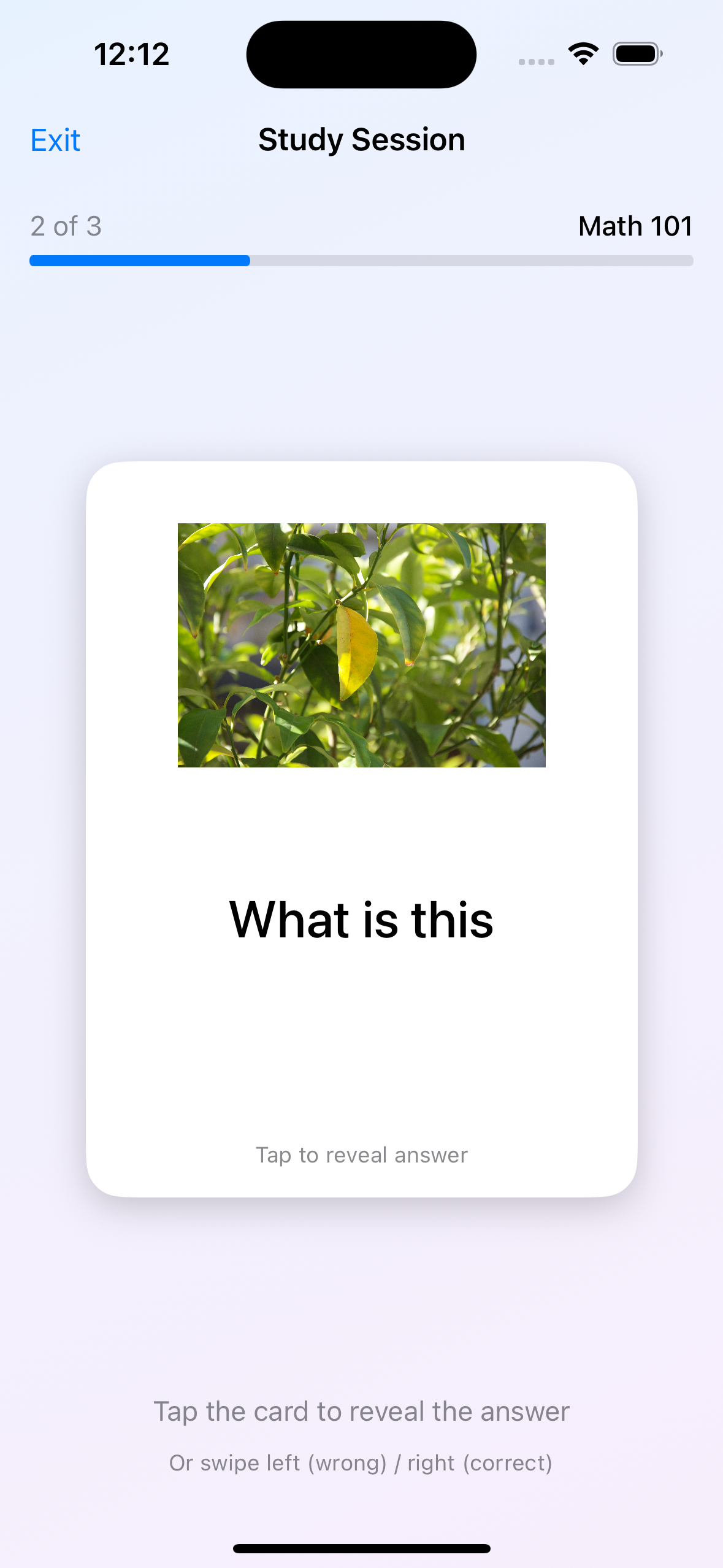 Spaced RepiCards Study Session